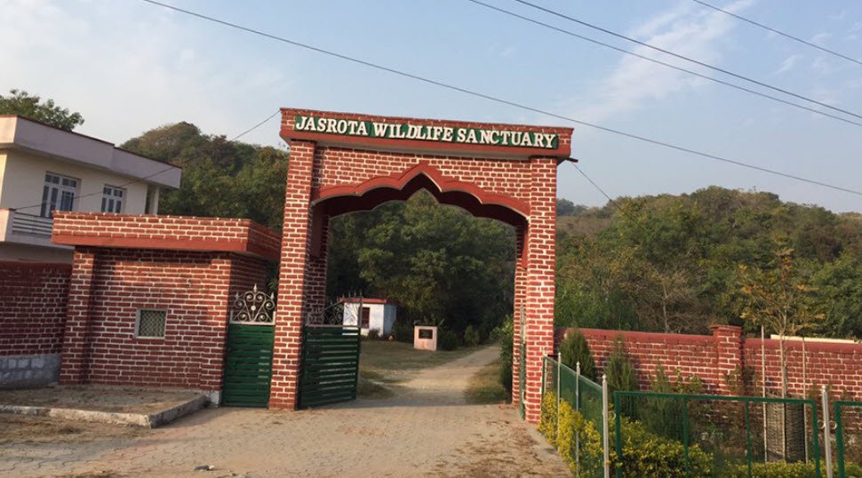 Jasrota Wildlife Sanctuary, Kathua, Jammu and Kashmir - Vushii.com Jasrota Wildlife Sanctuary, Kathua, Jammu and Kashmir - Vushii.com